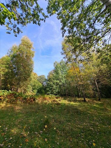 Polecam działkę 1900 m² w Międzybrodziu Bialskim działka Międzybrodzie Bialskie, Bielska