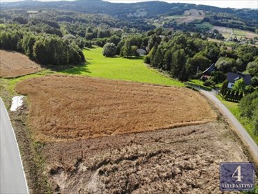 Działka 1577 m² z pięknym widokiem i mediami - polecam! działka Meszna Opacka