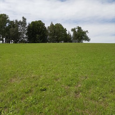 działka na sprzedaż 897m2 działka Szczytna