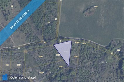 działka na sprzedaż 3002m2 działka Pręgowo