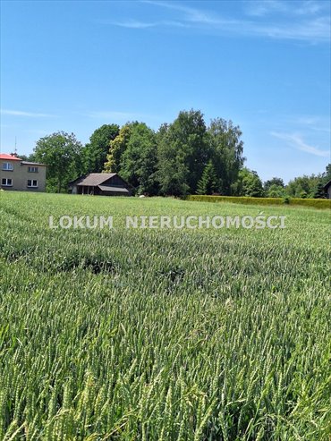 Działka budowlana 8 arów z mediami, cicha okolica działka Kończyce Małe, Brzoskwiniowa