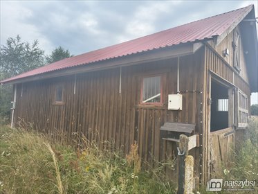 Zapraszam do wynajmu obiektu dla koni 7600 m² z boksami i padokiem lokal użytkowy Stargard, Grzędzice