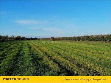 Dom na sprzedaż Wilków Pierwszy, Błędów 258m2 Foto 7