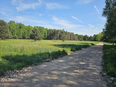 działka na sprzedaż 5186m2 działka Mostki, Mostki