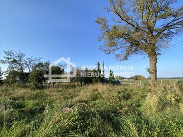 Działka budowlana z widokiem na Wisłę, 978 m2. działka Gdańsk, Świbno