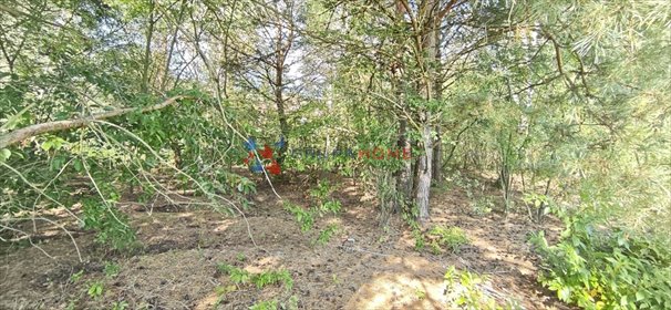 Działka 1500 m² w Łosiu (media przy działce) z planem MN działka Łoś