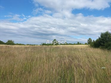 działka na sprzedaż 3163m2 działka Myszkowice