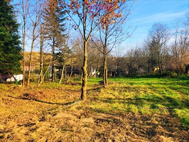 Działka leśna na sprzedaż Siedleczka 10 150m2 Foto 3