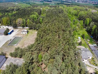 Działka leśna na sprzedaż Pożdżenice 6 206m2 Foto 4