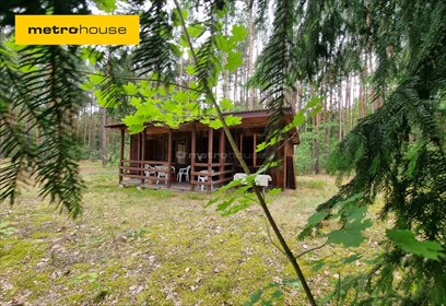 działka na sprzedaż 3300m2 działka Mierzwice-Kolonia