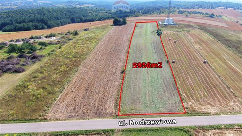 Działka budowlana na sprzedaż Hucisko, Modrzewiowa 5 956m2 Foto 2