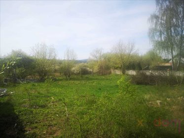 Działka budowlana na sprzedaż Kielce 827m2 Foto 1