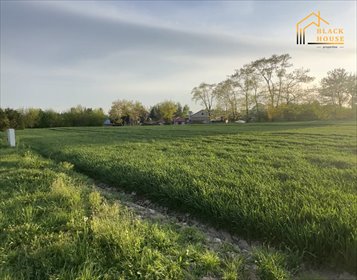 działka na sprzedaż 1500m2 działka Dąbrowica
