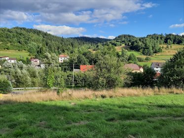 Działka budowlana na sprzedaż Trzebinia 1 596m2 Foto 2