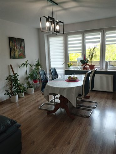 mieszkanie na sprzedaż 57m2 mieszkanie Legnica