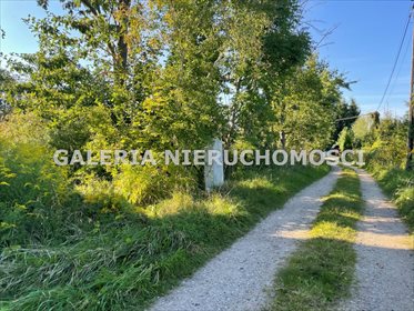 Dom na sprzedaż Pupki 150m2 Foto 4