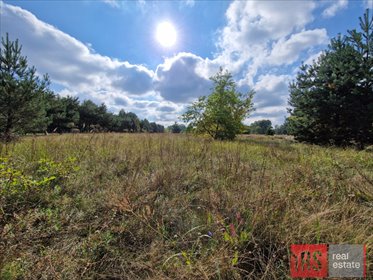 działka na sprzedaż 6400m2 działka Sikory, Brzozowa