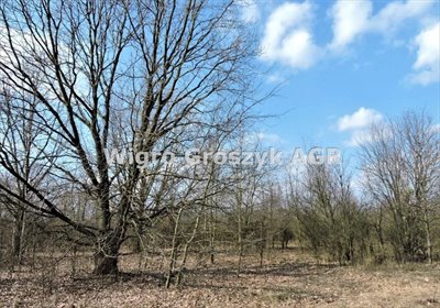 Działka 22 612 m² w Kampinoskim Parku Narodowym - zapraszam działka Kępiaste