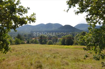 działka na sprzedaż 5983m2 działka Wałbrzych, Podgórze