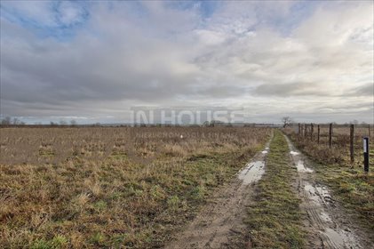 Działka rolna na sprzedaż Wąwelnica 1 191m2 Foto 4