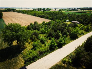 Łaznowska Wola - duża działka w małej cenie działka Łaznowska Wola, Słoneczna
