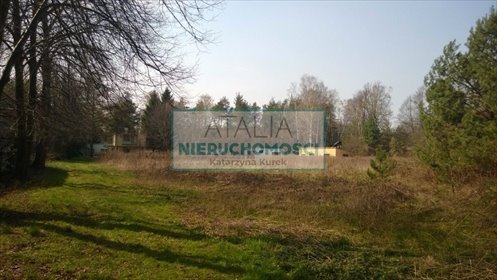 Duża działka rekreacyjna z zabudową i stawem - Książenice działka Książenice