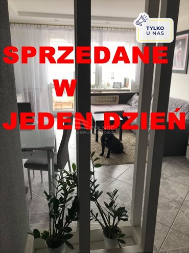 mieszkanie na sprzedaż 75m2 mieszkanie Końskie, Romualda Traugutta