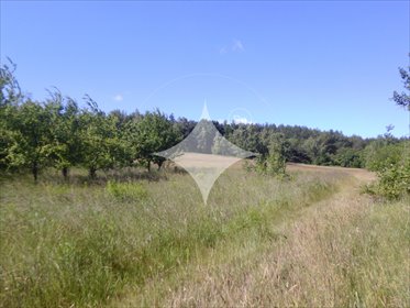 działka na sprzedaż 1036m2 działka Okmiany