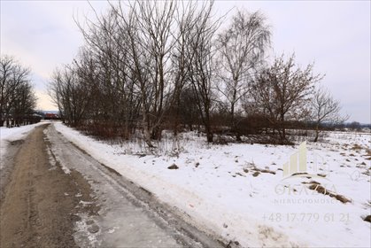 działka na sprzedaż 3000m2 działka Zarzecze