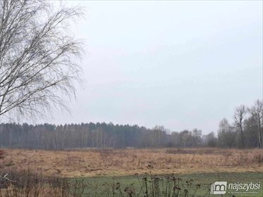 Działka rolna 18900 m² z drzewami, blisko miasta - polecam! działka Chociwel, obrzeża