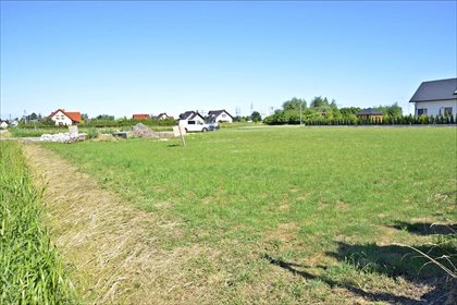 Działka budowlana na sprzedaż Nowy Dwór Gdański, Nowy Dwór Gdański 2 537m2 Foto 3