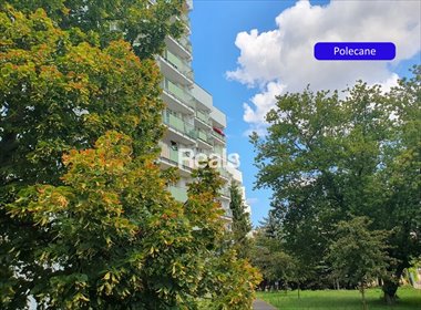 CIEKAWY APARTAMENT,4POK.CICHO,ZIELONO,SPOKOJNIE mieszkanie Warszawa, Praga-Południe, Grochów, Majdańska