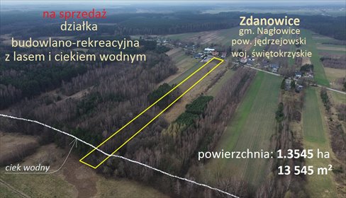 Działka 13,5 ha z MPZP, las, rekreacja, media, dostęp działka Nagłowice, Zdanowice
