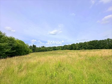 działka na sprzedaż 40420m2 działka Burów