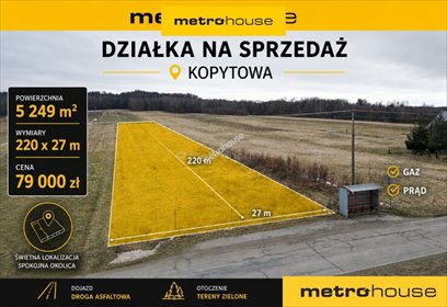 Działka 52,49 ara z warunkami zabudowy w Kopytowej. działka Kopytowa