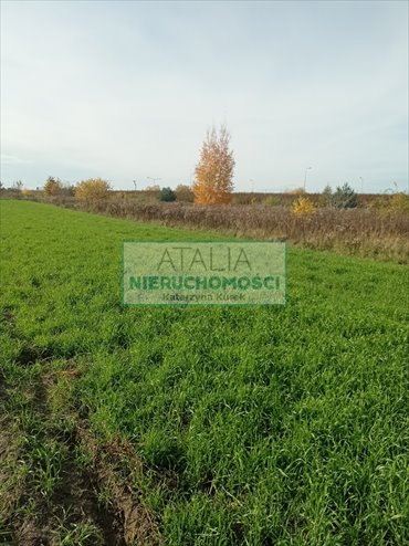 Działka usługowo-budowlana 1200 m² w Michałowicach działka Michałowice