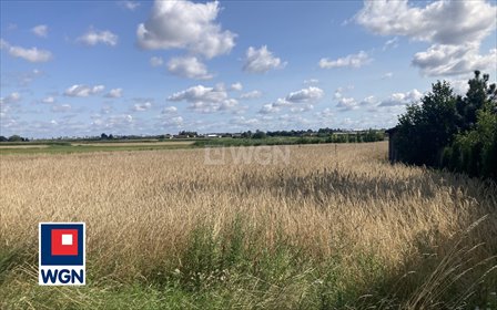 Do sprzedania działka budowlana 3539 m² w Radłowie działka Radłów, Radłów, Wiejska
