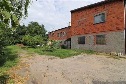 Lokal użytkowy na sprzedaż Krzywiń, Działkowa 464m2 Foto 6