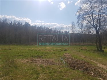 działka na sprzedaż 12000m2 działka Książenice