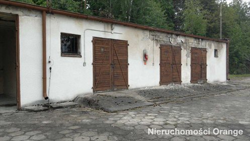 Lokal użytkowy na sprzedaż Szubin-Wieś 1 196m2 Foto 3