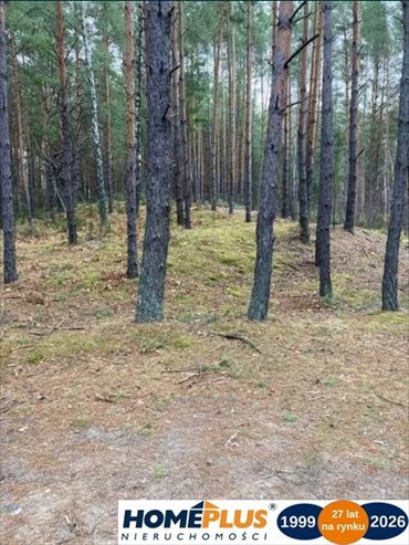 działka na sprzedaż 23100m2 działka Łosie