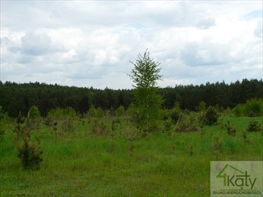 działka na sprzedaż 3061m2 działka Dorotowo