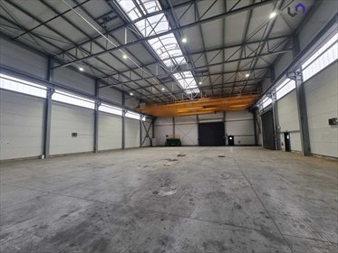 lokal użytkowy na wynajem 1300m2 lokal użytkowy Dąbrowa Górnicza, Gołonóg