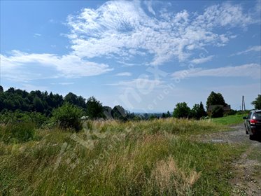 Zapraszam do obejrzenia działki 1224 m² z potencjałem inwestycyjnym działka Jelenia Góra
