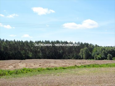 Działka rolna 1,62 ha z możliwością zabudowy (Ławice) działka Ławice