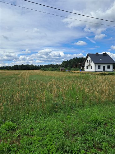 Działki budowlane w Mycielinie z warunkami zabudowy - polecam! działka Mycielin, Stropieszyn