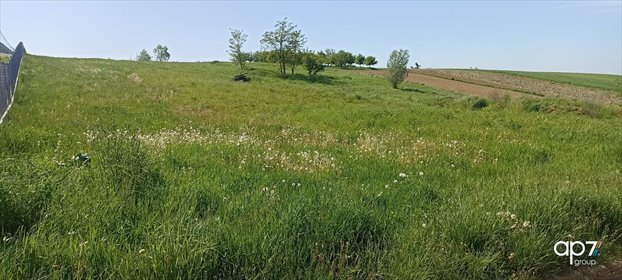 działka na sprzedaż 2000m2 działka Kraków, Wzgórza Krzesławickie, Łuczanowice
