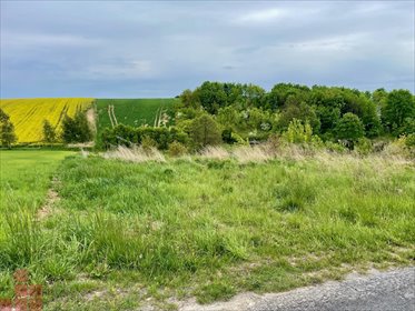działka na sprzedaż 2800m2 działka Młodziejowice