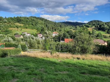Działka budowlana na sprzedaż Trzebinia 1 596m2 Foto 1