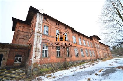 Magazyn na sprzedaż Lubniewice 713 670m2 Foto 2